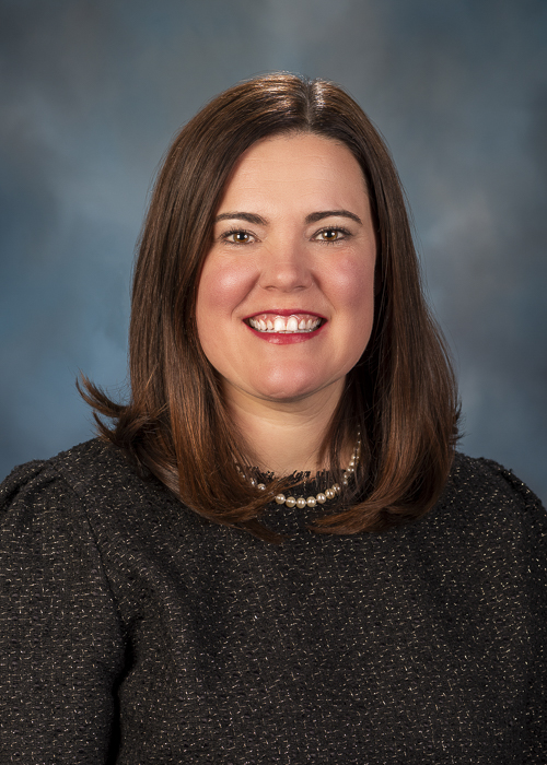 Photograph of Representative  Laura Faver Dias (D)